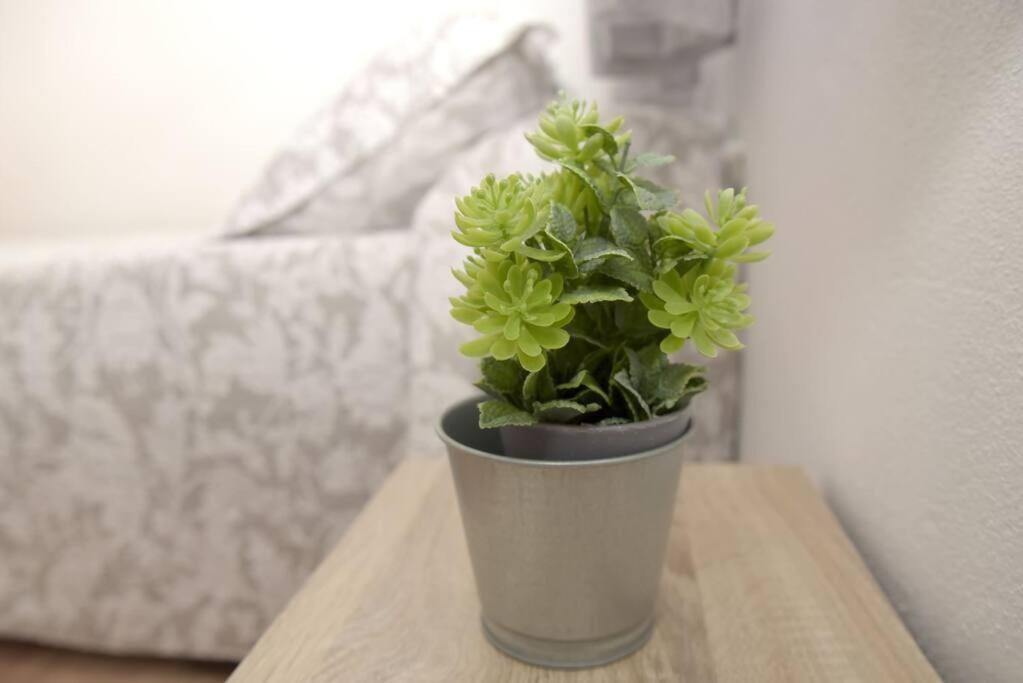 Apartamento Elena - Solo Familias Y Parejas Conil De La Frontera Ngoại thất bức ảnh